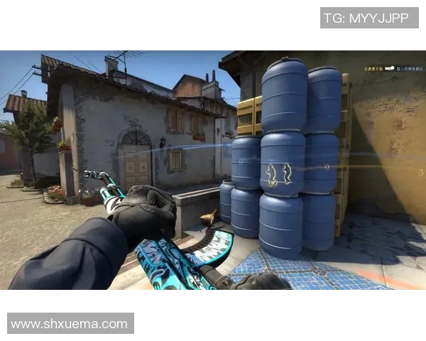 陈敏的CSGO人生揭秘深度对话s15电竞总决赛背后的故事与梦想